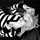 Stripes portfolio